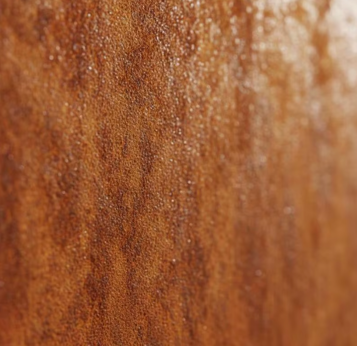 Détail de la patine de l'acier Corten